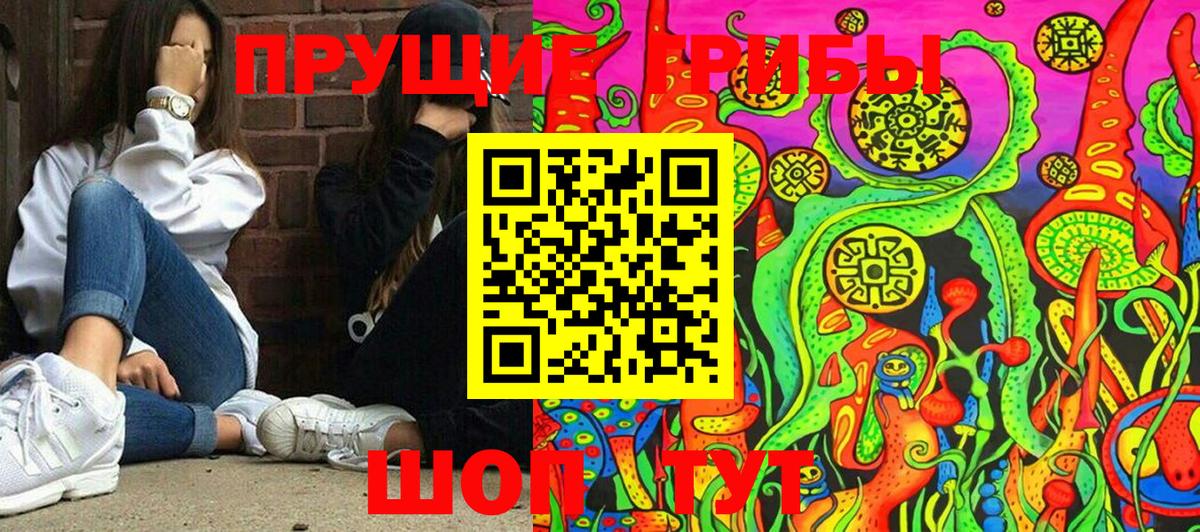 Галлюциногенные грибы Cubensis Белебей